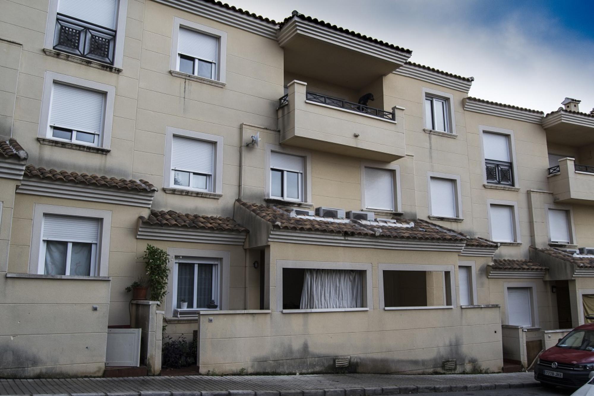 ocupacion denia 1